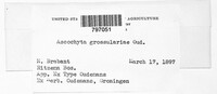 Image Associated With the Occurence